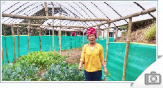 Mrs. Krama Working in Her Poly Green House