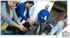 Livelihood Initiatives at Lopchu Peshok Tea Garden